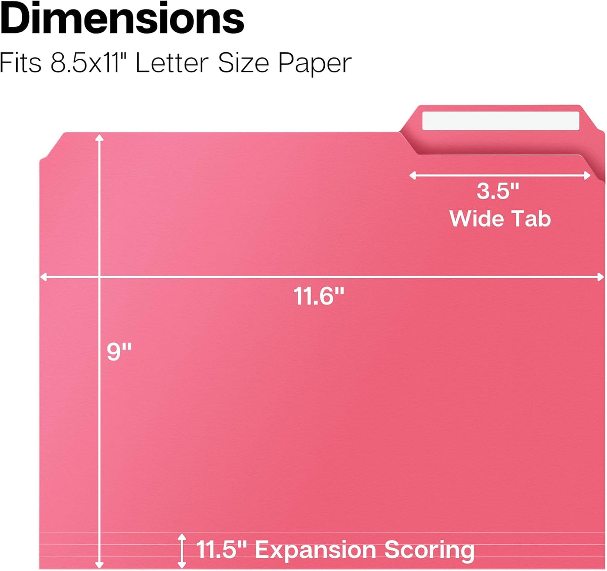Dunwell Plastic File Folders, 1/3 Tab, Letter Size Documents, 6 Pack