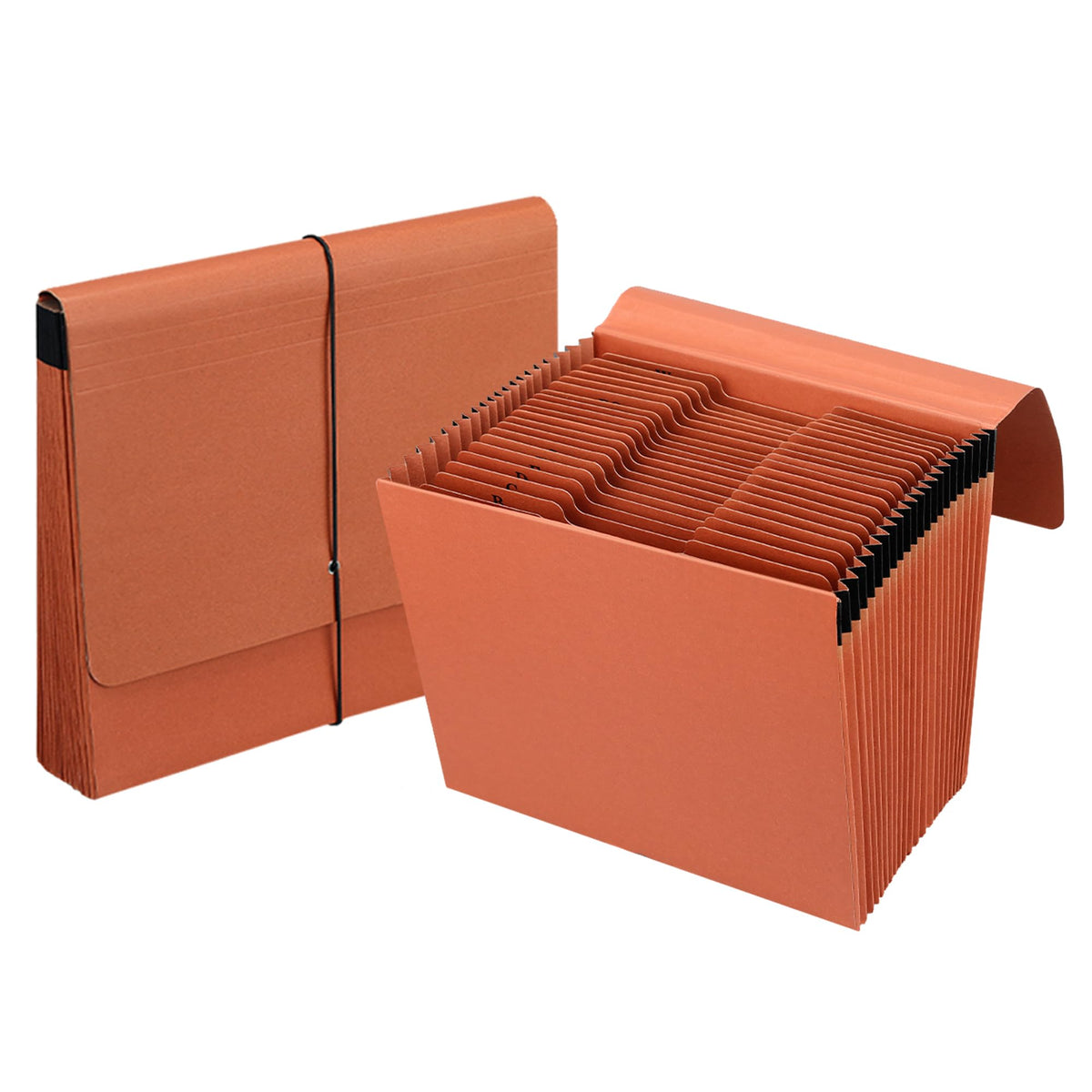 2 Packs Expanding File Folder with Flap and Cord Closure,5 Inch Expansion Accordion File Organizer,Letter Size