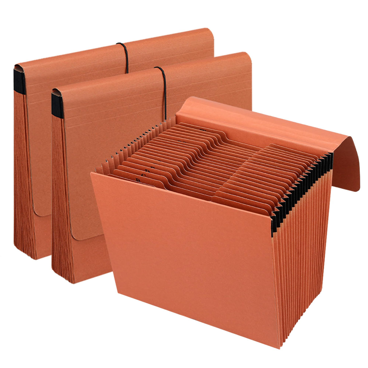 2 Packs Expanding File Folder with Flap and Cord Closure,5 Inch Expansion Accordion File Organizer,Letter Size