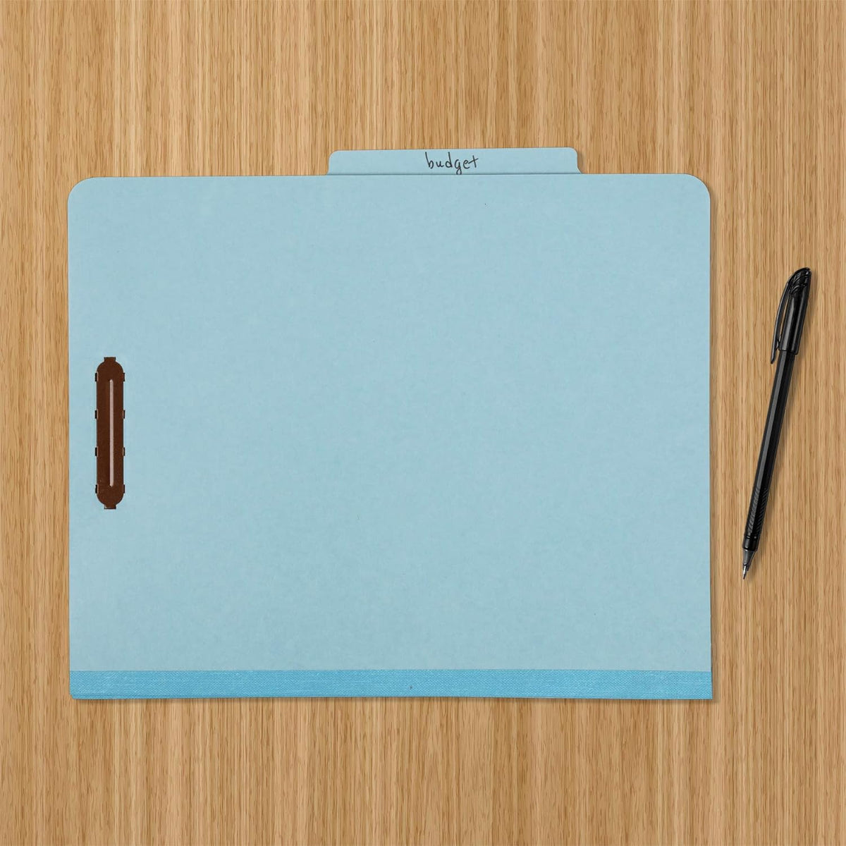 Amazon Basics Classification Folder for Documents and Organization, 1 Divider, 2" Embedded Fasteners, Letter Size, Light Blue, 10 Count